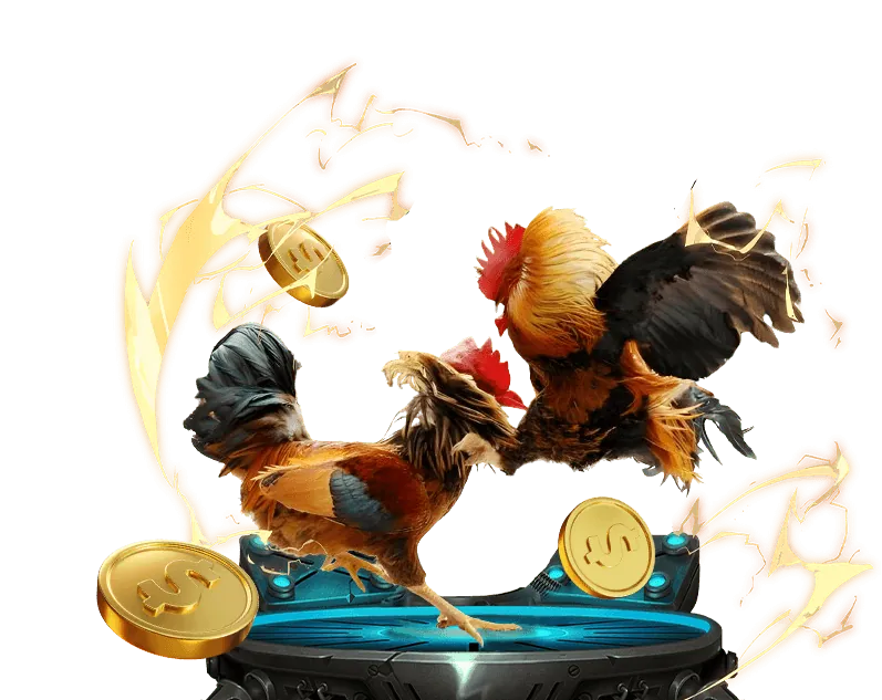 Chương Trình VIP Đá Gà